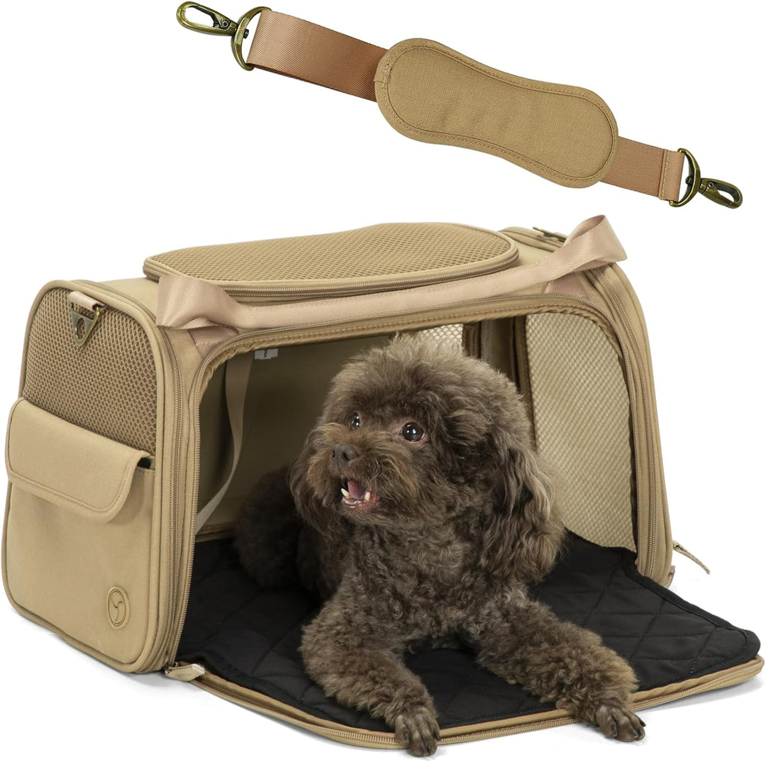 Petsfit Transportbox Katze &amp; Hund, Hundetasche Tragetasche für Katze kleine Hund, faltbar Katze Tran