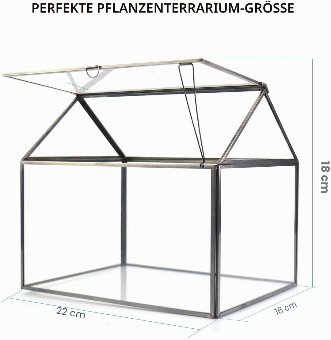 Grosses Glas Pflanze Terrarium - Haus Sukkulenten Glas Terrarium Kit mit Lippe Glas Gewächshaus Terr