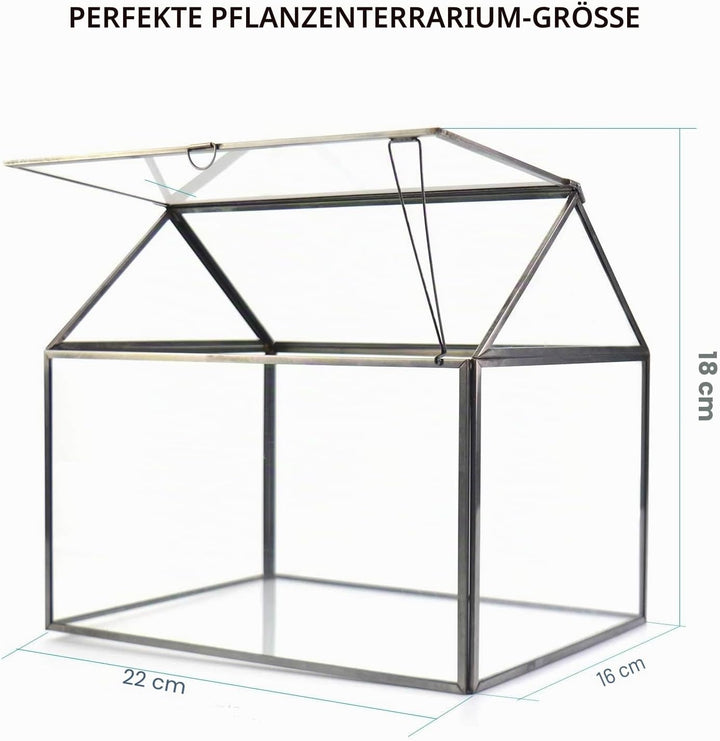 Grosses Glas Pflanze Terrarium - Haus Sukkulenten Glas Terrarium Kit mit Lippe Glas Gewächshaus Terr