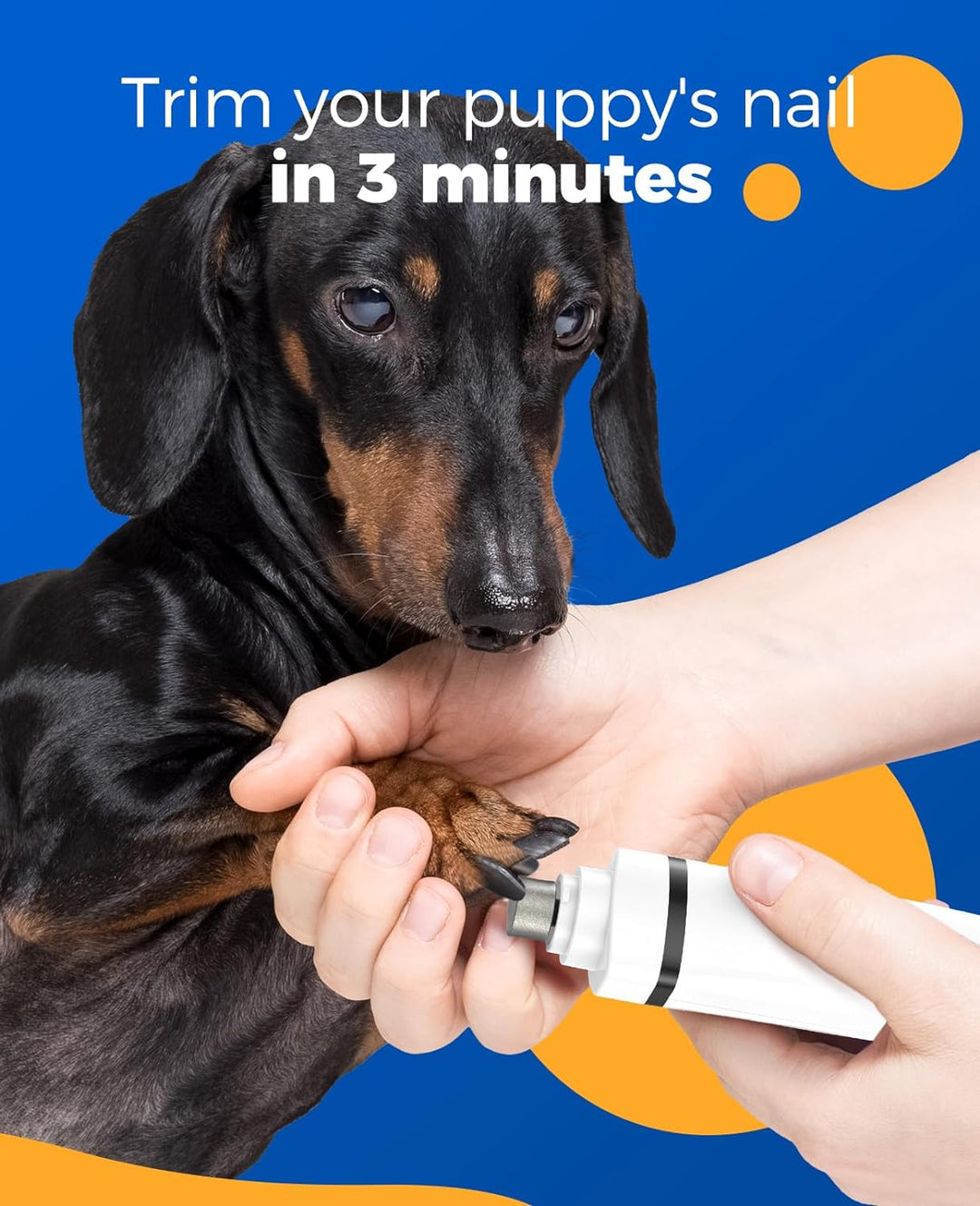 oneisall 4 in 1 Leise Schermaschine Hund Katze, Wiederaufladbar Hundeschermaschine & Pfotentrimmer &