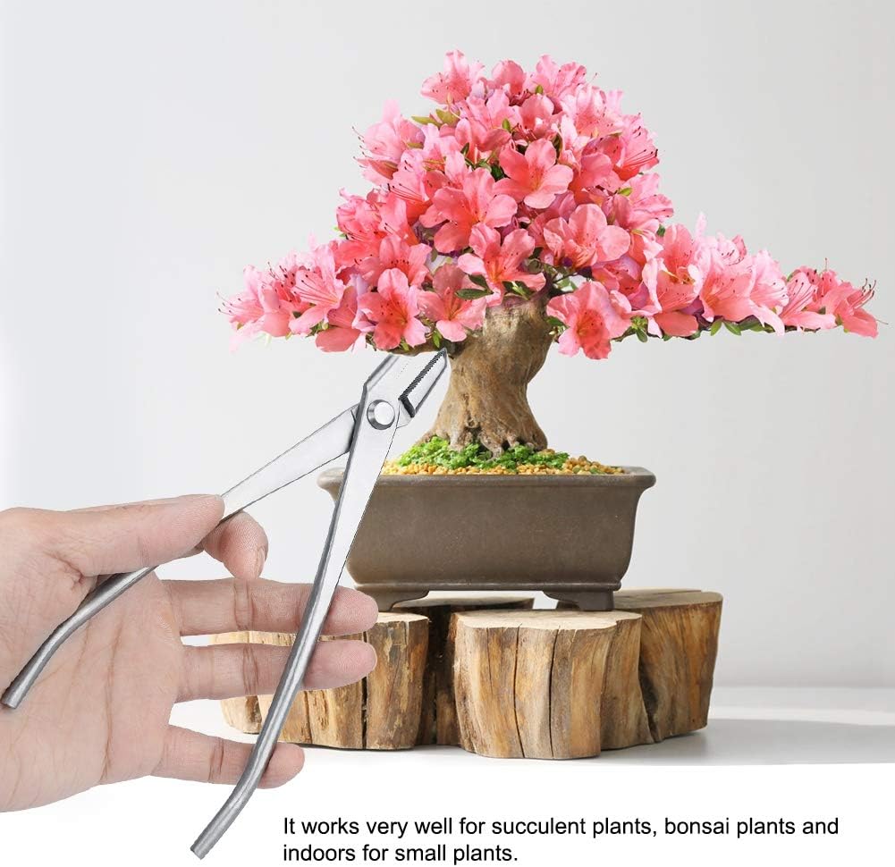 Duokon Bonsai Cutter Tool, Gartenpflege Edelstahl Knopfschneider mit runder Kante Gartenarbeit Schne