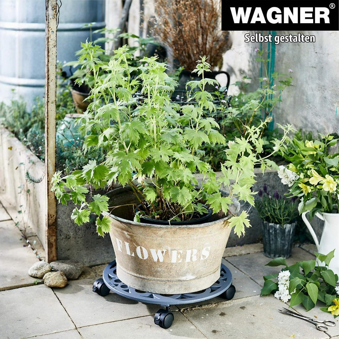 WAGNER, schieferGrau, (Ø) 38 x (H) 6,5 cm (Ø) 38 x (H) 6,5 cm Schiefergrau, (Ø) 38 x (H) 6,5 cm Schi