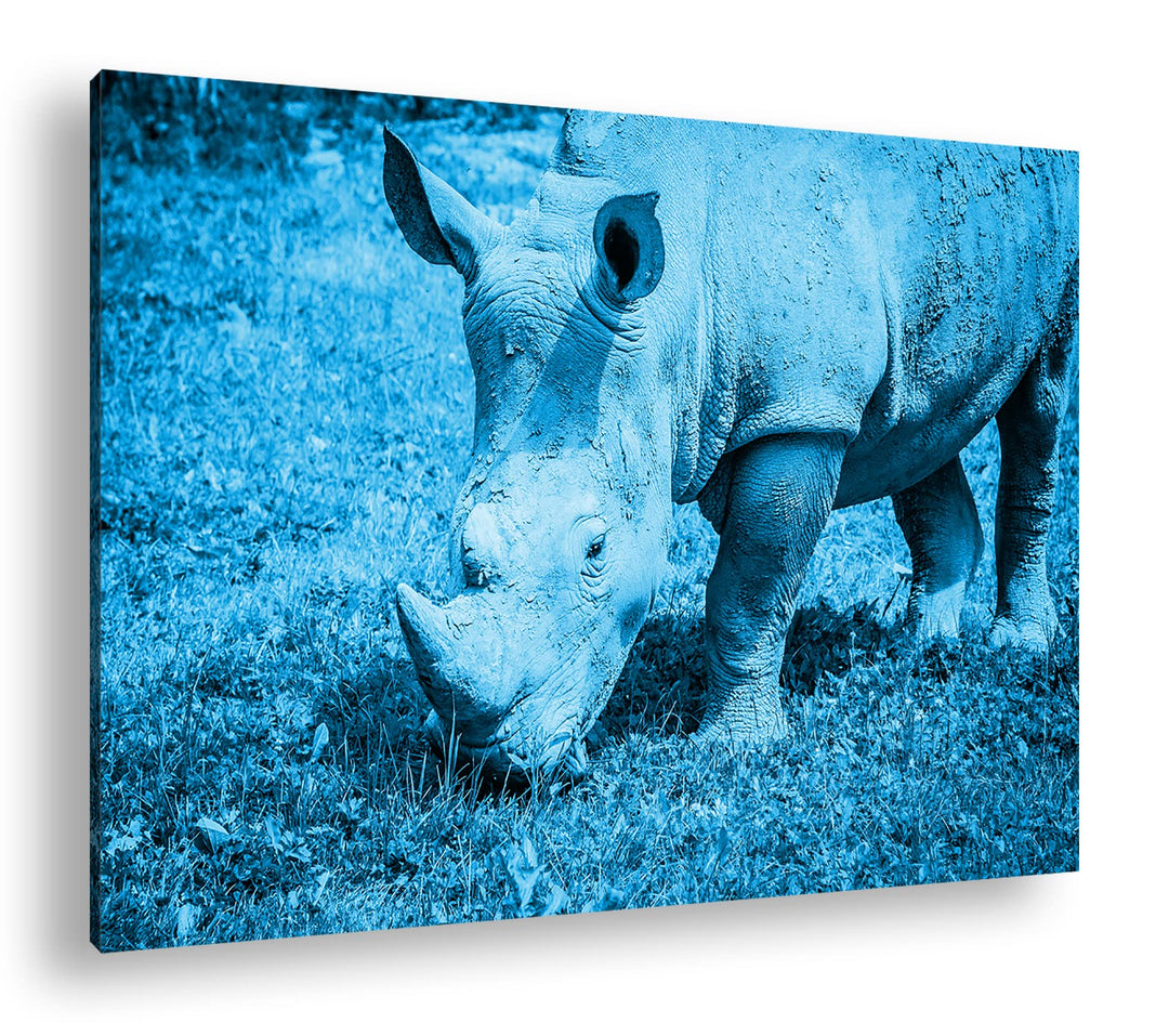 deyoli edles Nashorn Format: 80x60 Effekt: Monocrome Blau als Leinwand, Motiv fertig gerahmt auf Ech