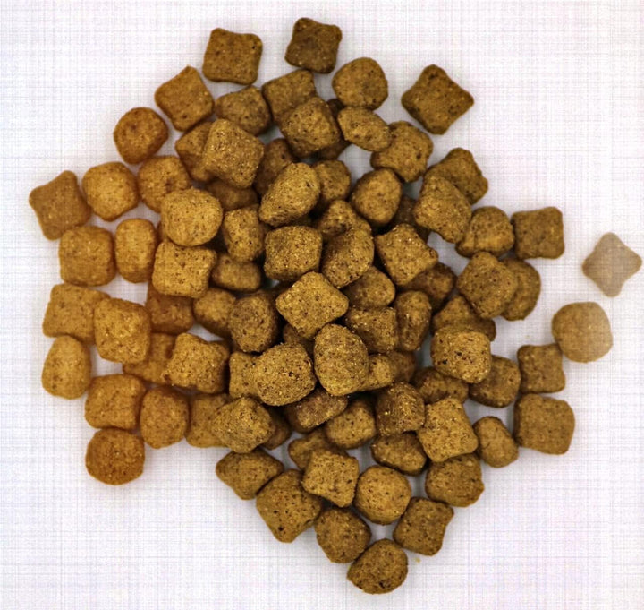 MyPetClub Insekten (1 x 14,5 kg) getreidefreies Hundefutter sensitiv I 33% Insekten Anteil I hypoall