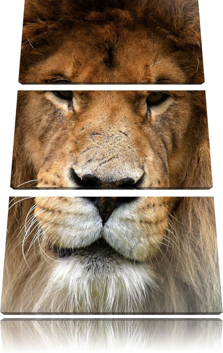 Pixxprint Kampfvernarbten / 3-Teilig/Gesamtmass 120cm Leinwandbild bespannt auf Holzrahmen/Wandbild