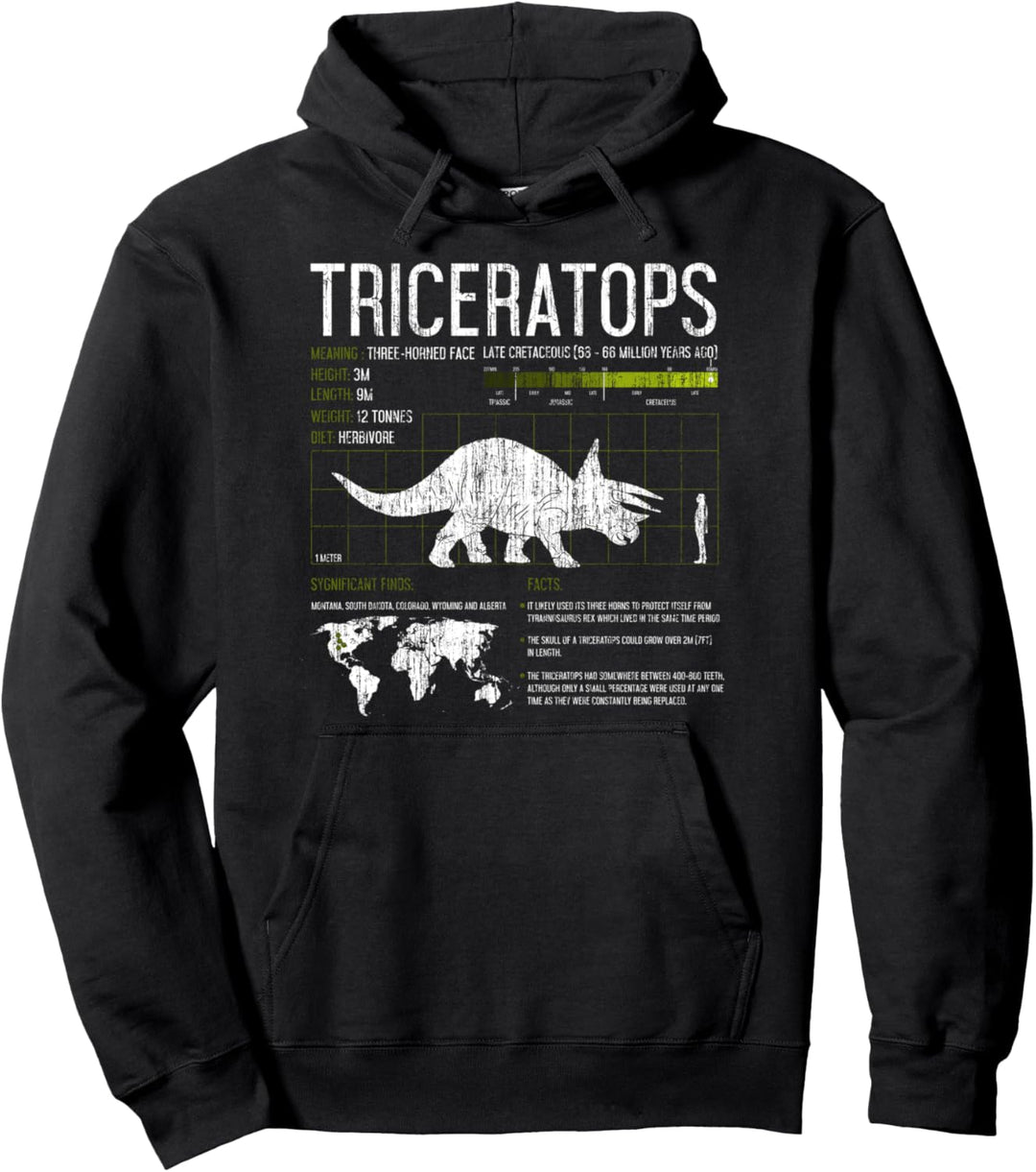 Paläontologen Shirt Triceratops Dinosaurier Fakten Kinder Wissenschaft Pullover Hoodie