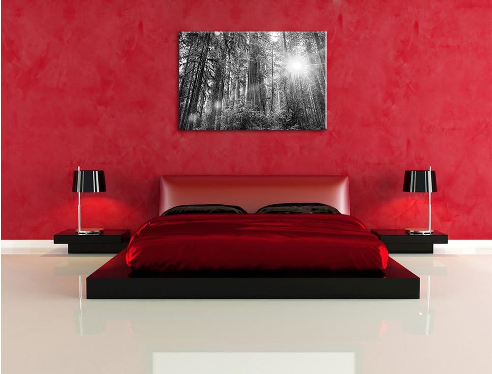 Pixxprint Wald bei Sonnenlicht als Leinwandbild/Grösse: 100x70 / Wandbild/Kunstdruck/fertig bespannt