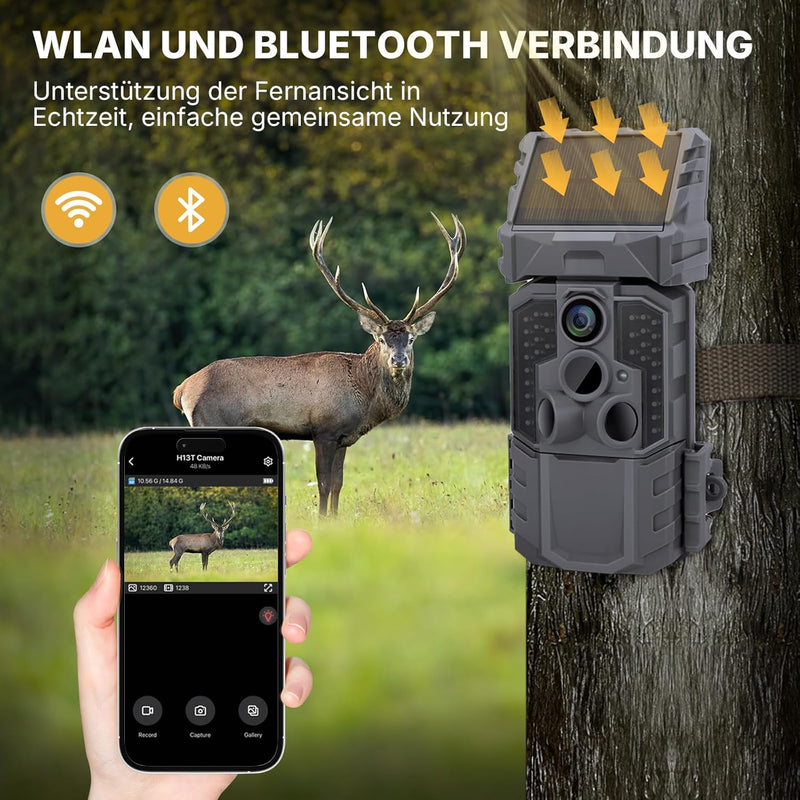 Wosports Wildkamera 4K HD Wildtierkamera, 33MP WLAN Nachtsichtkamera mit Bewegungsmelder, 0,1 s Ausl