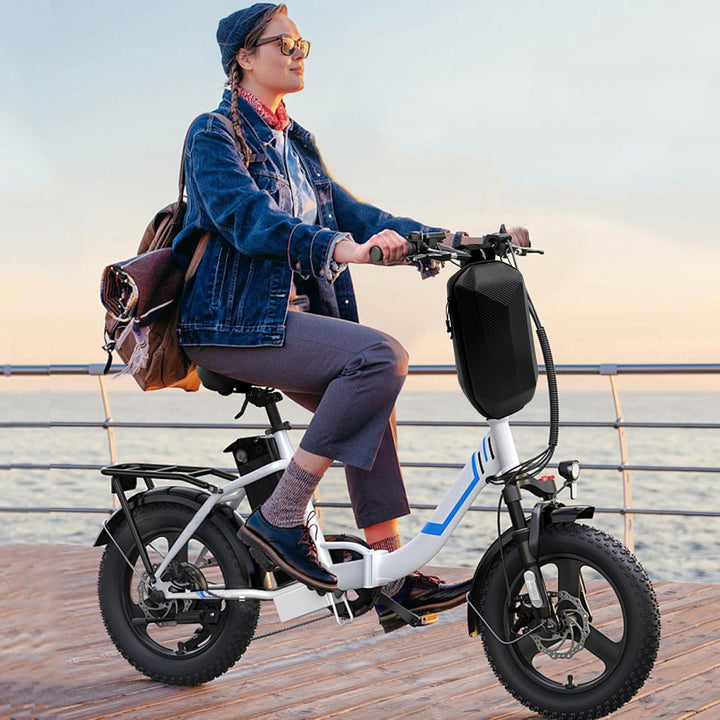 E Scooter Tasche, 4L Grosser Kapazität Rollertasche mit Eva Hard Sell Inneres, wasserdichte Front Tu