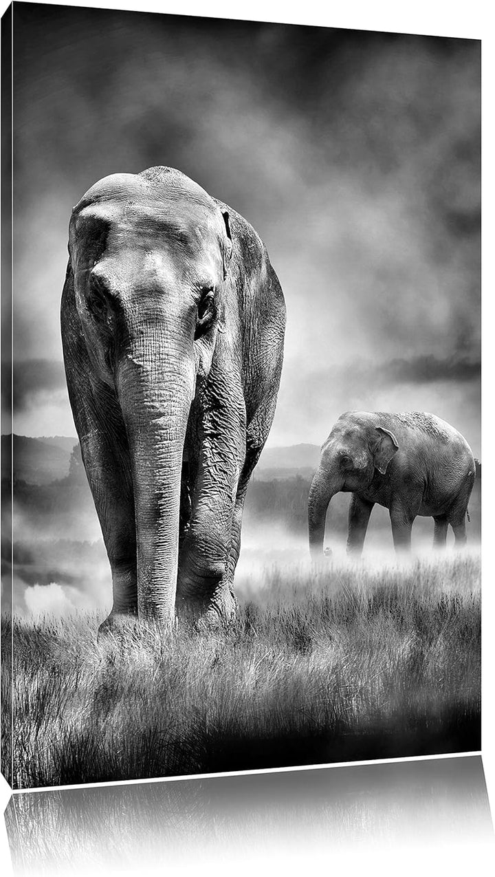 Monocrome, Prächtige Elefanten in Steppe, Format: 100x70 auf Leinwand, 100x70
