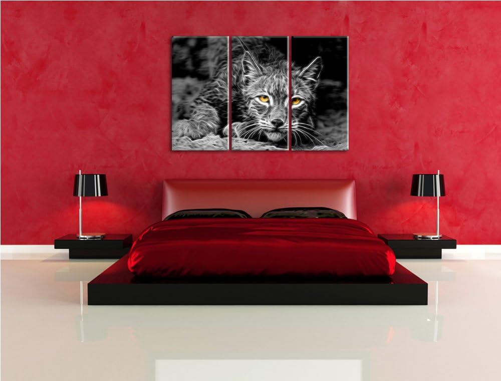 schöner wachsamer Luchs schwarz/weiss Deluxe 3-Teiler Leinwandbild 120x80 Bild auf Leinwand, XXL rie