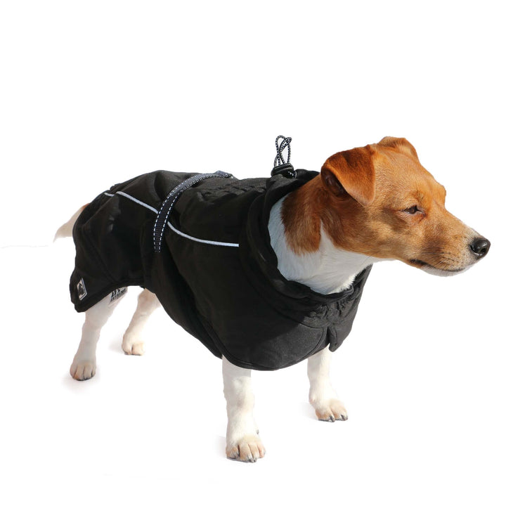 Ancol Hundemantel Extreme Monsoon schwarz 25 cm XS Schwarz X-Small, Schwarz X-Small