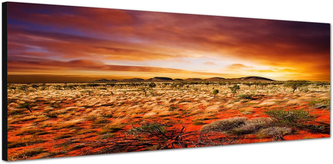 Paul Sinus Art Panoramabild auf Leinwand und Keilrahmen 120x40cm Australien Landschaft Sonnenunterga
