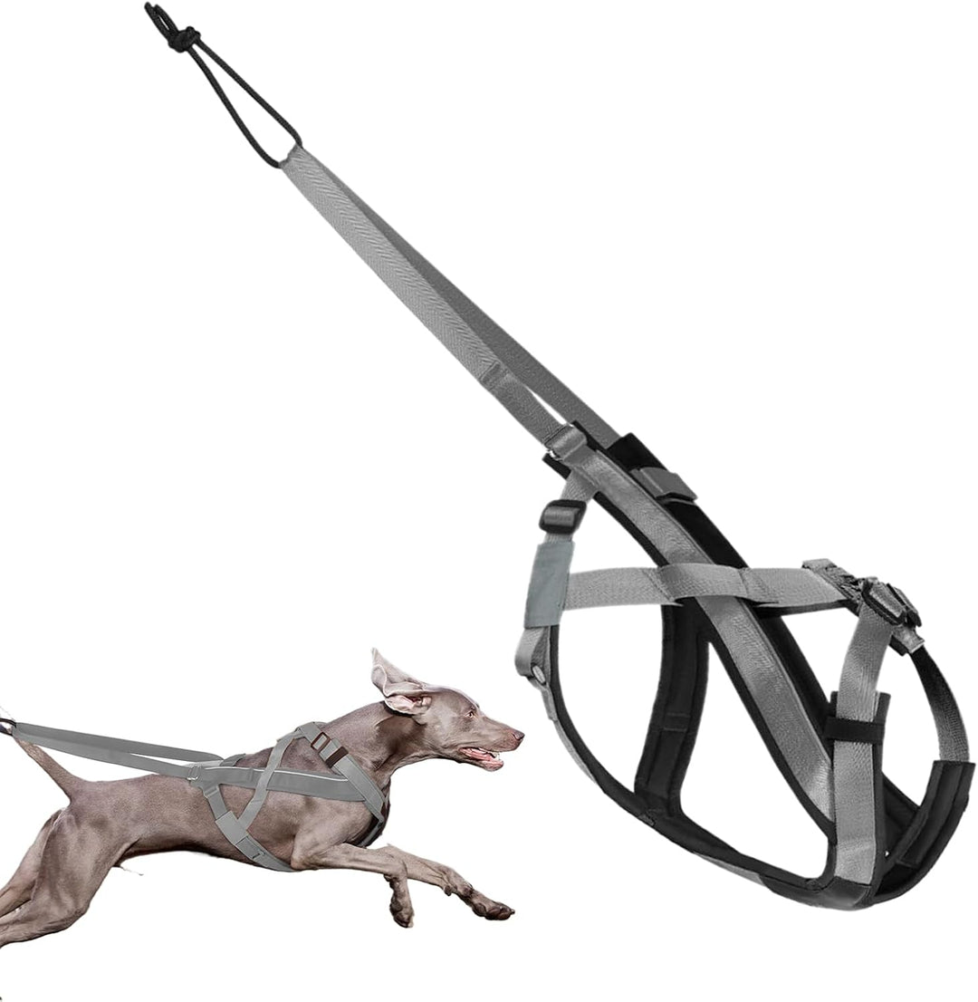 Zuggeschirr für Hunde | Reflektierendes Laufgeschirr für Hunde – Verstellbarer Gurt für Übung, Sport