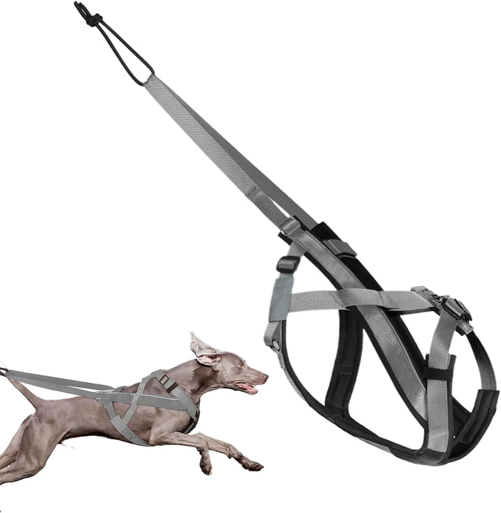 Zuggeschirr für Hunde | Reflektierendes Laufgeschirr für Hunde – Verstellbarer Gurt für Übung, Sport