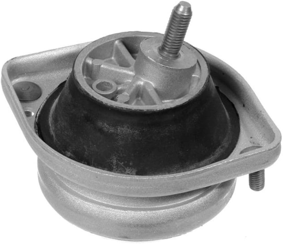 Meyle 300 221 1103 Lagerung, Motor