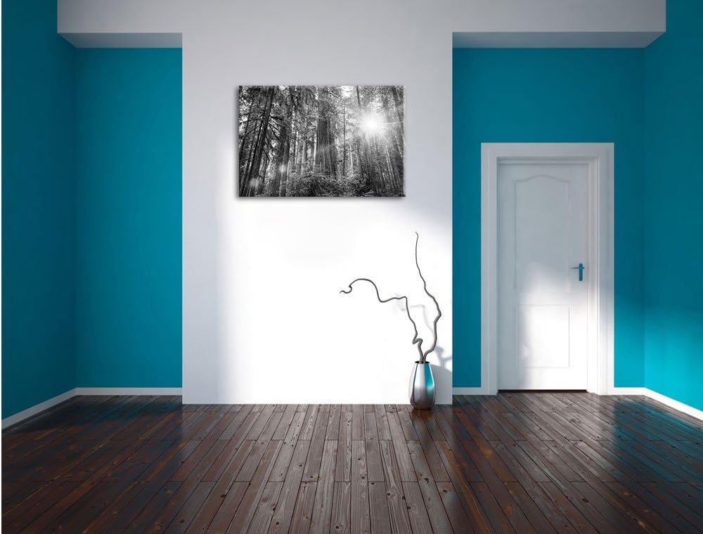 Pixxprint Wald bei Sonnenlicht als Leinwandbild/Grösse: 100x70 / Wandbild/Kunstdruck/fertig bespannt