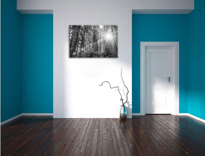 Pixxprint Wald bei Sonnenlicht als Leinwandbild/Grösse: 100x70 / Wandbild/Kunstdruck/fertig bespannt