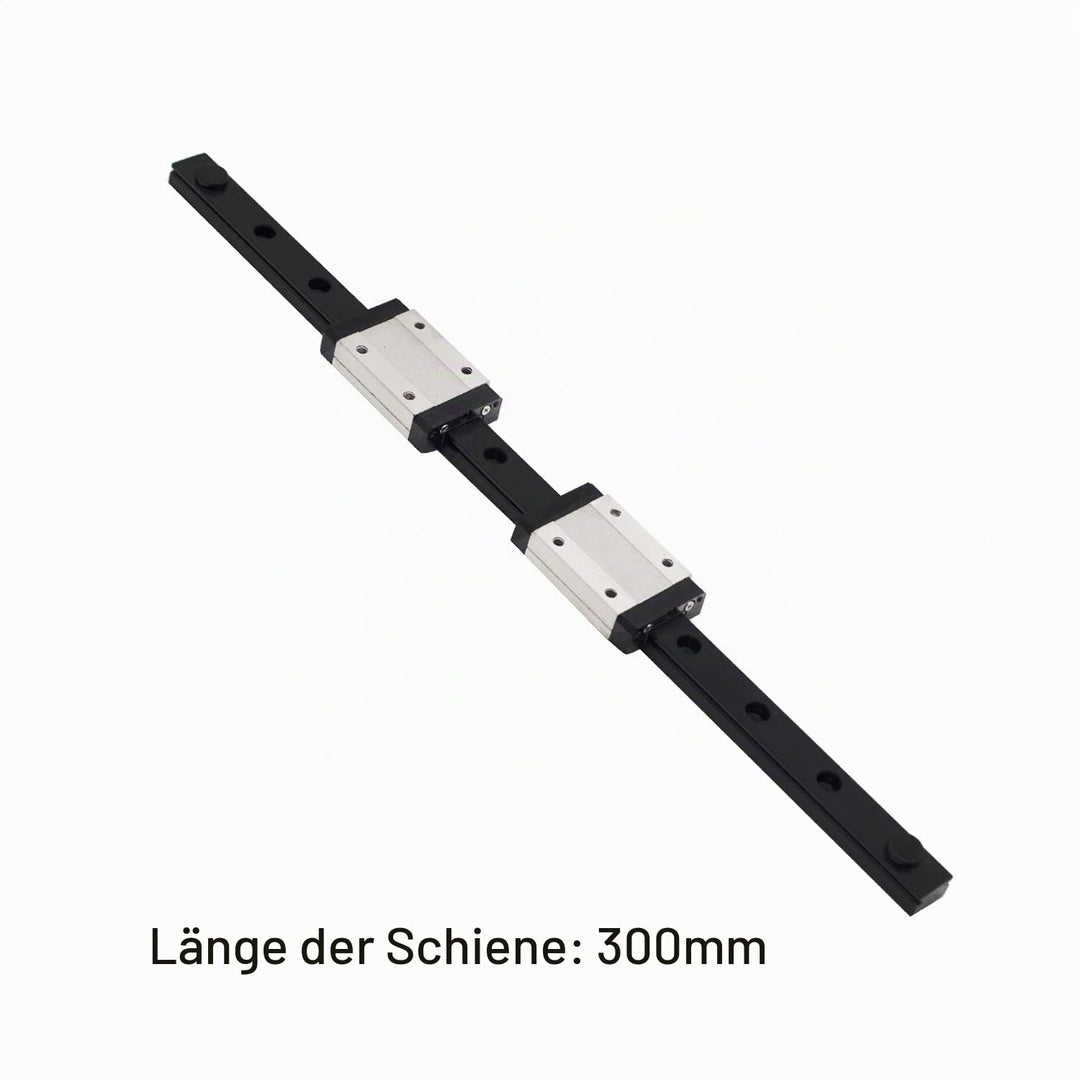 IMETRX 300 mm Linearschienenführung, schwarz, Lagerstahl, Gleitführung mit 2 Stück MGN12 Gleitblöcke