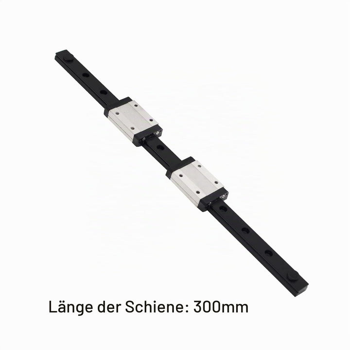 IMETRX 300 mm Linearschienenführung, schwarz, Lagerstahl, Gleitführung mit 2 Stück MGN12 Gleitblöcke