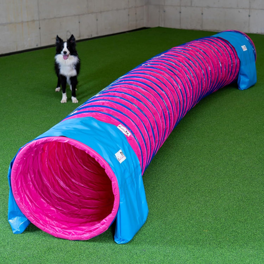 Callieway® Dog Agility Tunnel Profi Hunde Tunnel Agility Gerät (Stützsandsäcke bereits inklusive) (F