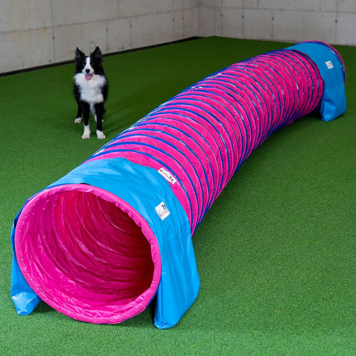 Callieway® Dog Agility Tunnel Profi Hunde Tunnel Agility Gerät (Stützsandsäcke bereits inklusive) (F
