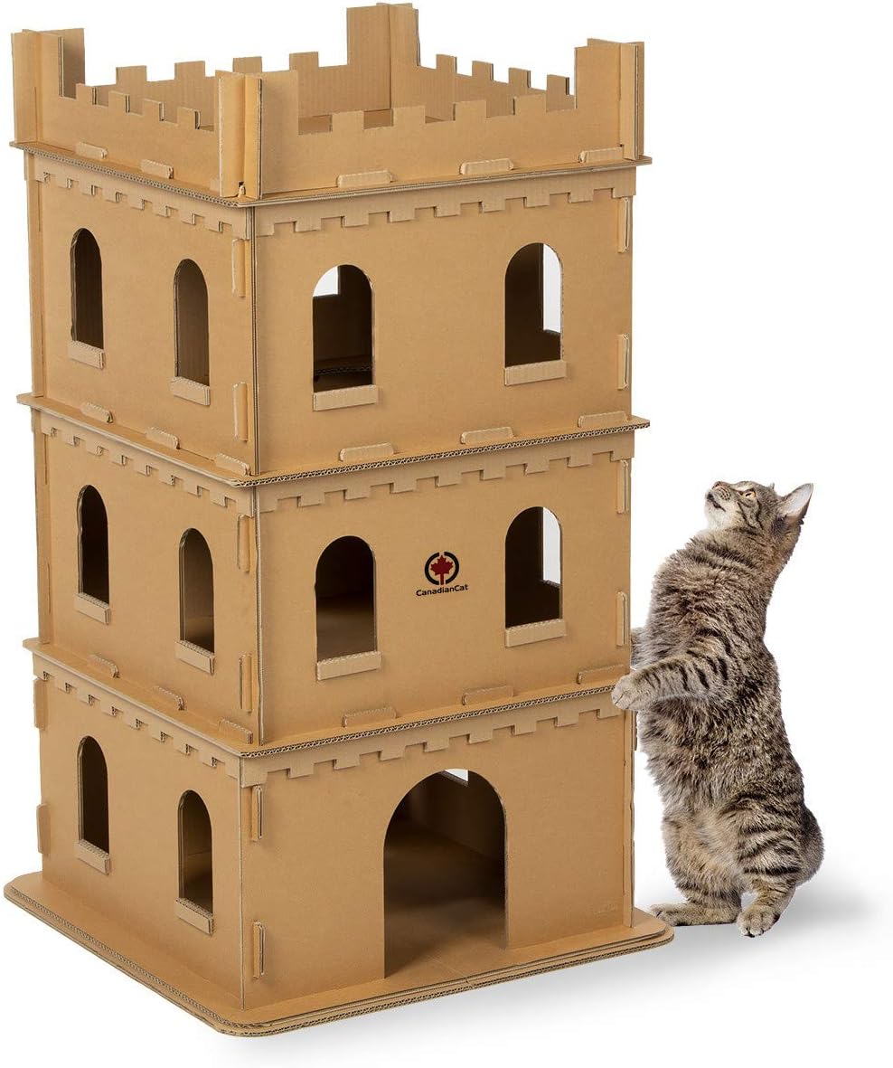 CanadianCat Company | Katzenburg XL aus Wellpappe für Katzen - das Spielhaus