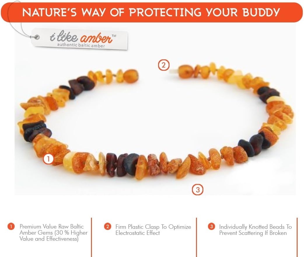 Bernsteinkette Hund, Bernstein Halsband Hund, Zeckenschutz Katze & Hunde, 100% Baltischer Bernstein