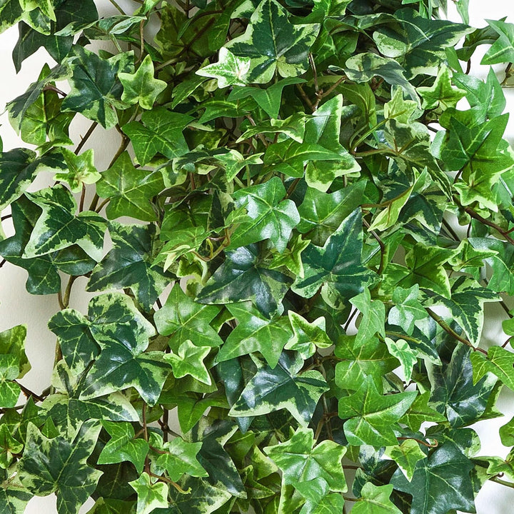 artplants.de Künstliche Efeu Ranke Luka, 547 Blätter, weiss - grün, 110cm - Kunst Efeu - Efeu künstl