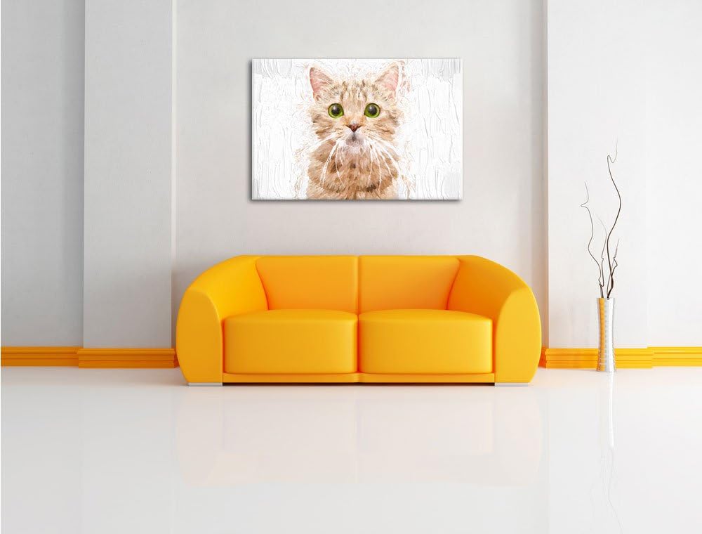 Pixxprint Katze Scottish Straight / 100x70cm Leinwandbild bespannt auf Holzrahmen/Wandbild Kunstdruc