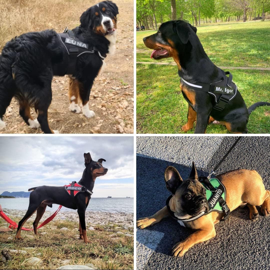 SUPER DOGGY Personalisiertes Hundegeschirr - Reflektierendes und sicheres Hundegeschirr - Enthält 2