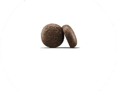 2 x 12,5 kg Josera Ente und Kartoffel Hundefutter - Sparpaket Ente 15 kg (2er Pack), Ente 15 kg (2er