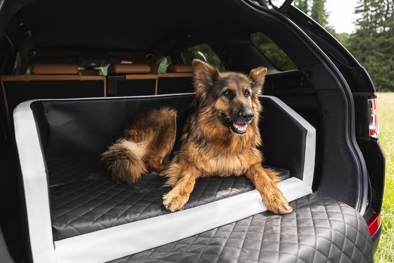 Autohundebett Reisebett Hundebett für Kofferraum Transportsystem 100x70cm (Farbe: schwarz, blau), sc