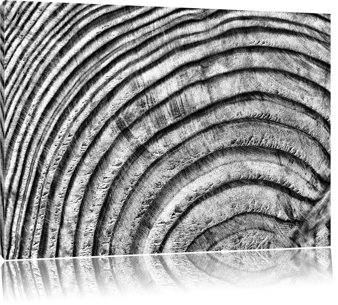 Pixxprint Baumstamm Holzringe als Leinwandbild/Grösse: 100x70 cm/Wandbild/Kunstdruck/fertig bespannt