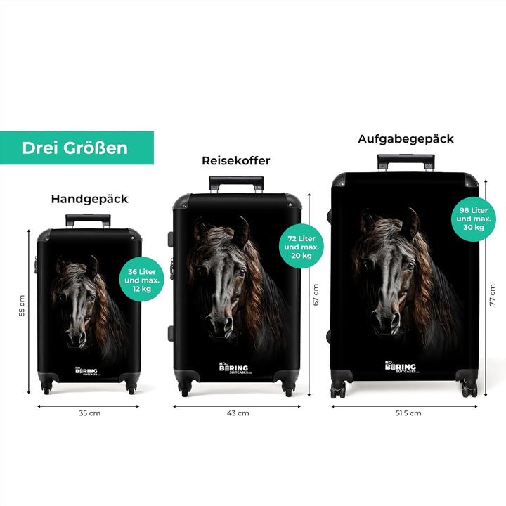Koffer XL Gross 77x51.5x28 cm Reisekoffer mit Rollen Leicht Trolley grosser Hartschalenkoffer Rollko