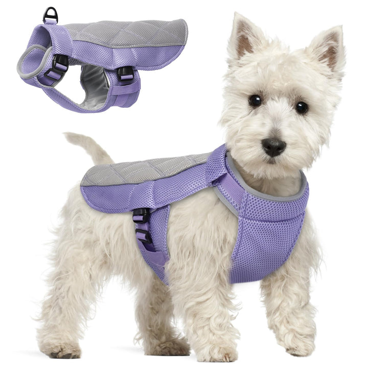 Kühlweste Hund, Sommer Kühlgeschirr für Hunde mit D-Ringe, Sonnenschutz Hund Kühlmantel, Kühlendes H