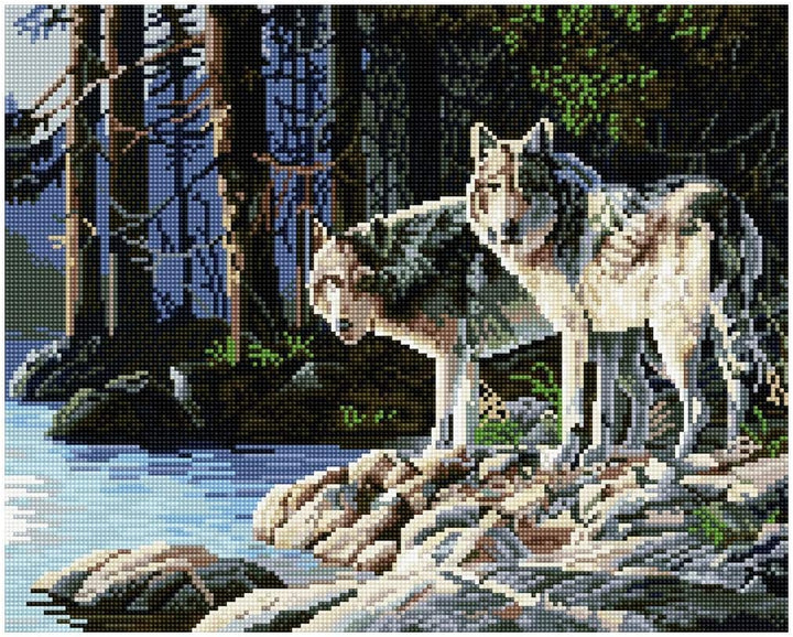 Diamond Vollbedeckung mit Holzrahmen Painting Set Bild 40 x 50 Diamant Malerei Stickerei Handarbeit