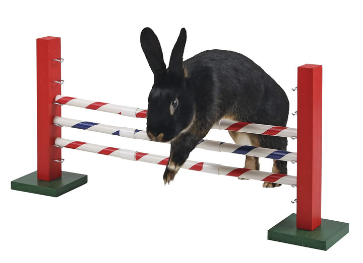 Kerbl 82859 Agility Steilsprung für Nager, 70 x 5 x 35 cm & 82860 Agility Wippe, 60 x 18 x 12 cm