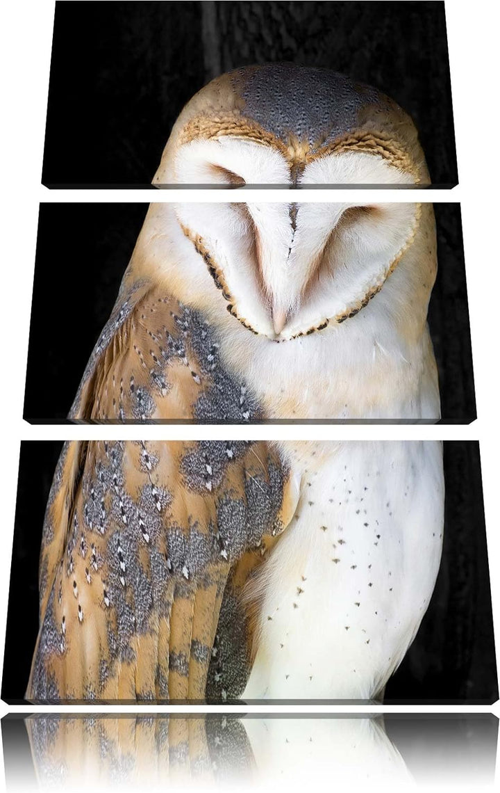 Pixxprint Schleiereule Schwarz/Weiss 3-Teiler Leinwandbild 120x80 Bild auf Leinwand