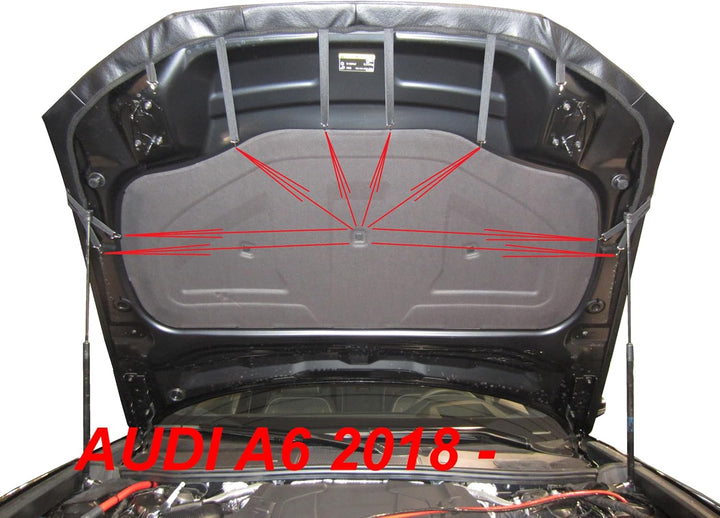 AB3-00259 Auto Bra kompatibel mit Audi S6 A6 C8 Bj. seit 2018 Haubenbra Steinschlagschutz Tuning AUT