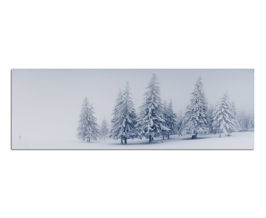 Paul Sinus Art Panoramabild auf Leinwand und Keilrahmen 150x50cm Winterwald Schnee Landschaft Nebel