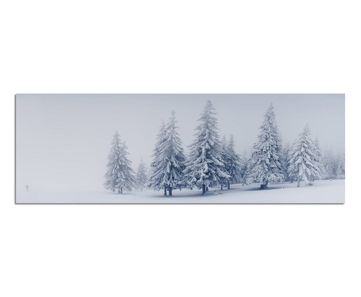 Paul Sinus Art Panoramabild auf Leinwand und Keilrahmen 150x50cm Winterwald Schnee Landschaft Nebel