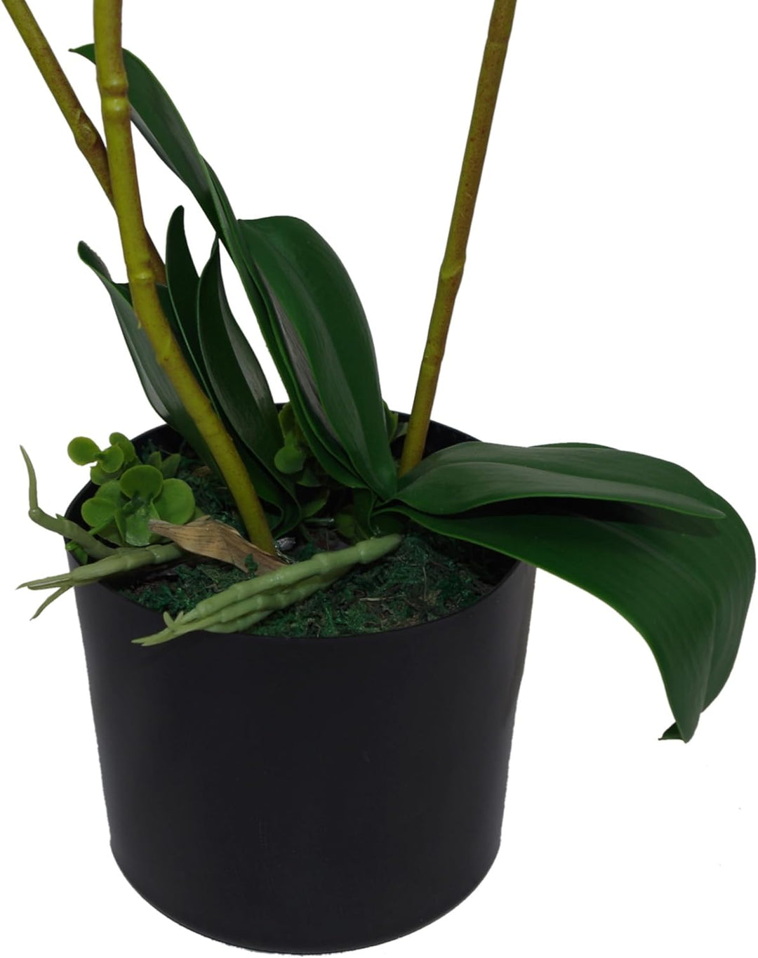Leaf Kunstpflanze Orchidee, Blätter, 60 cm, gross, Weiss, 60cm Large White, LEAF-7040 60cm Large Whi