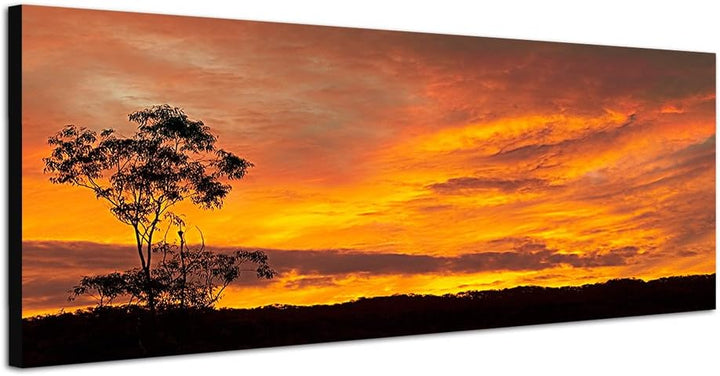 Panoramabild auf Leinwand und Keilrahmen 120x40cm Australien Wiese Baum Sonnenuntergang