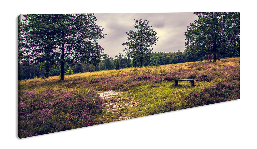 einsame Bank im Wald Panorama 60x30 cm als Leinwandbild, Motiv fertig gerahmt auf Echtholzrahmen, Ho