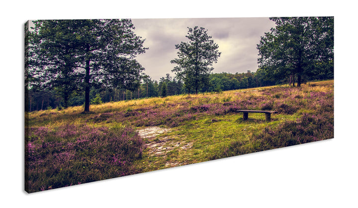 einsame Bank im Wald Panorama 60x30 cm als Leinwandbild, Motiv fertig gerahmt auf Echtholzrahmen, Ho