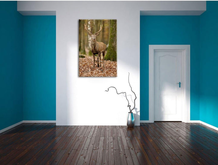 Schöner Hirsch im Wald, Format: 100x70 auf Leinwand, XXL riesige Bilder fertig gerahmt mit Keilrahme