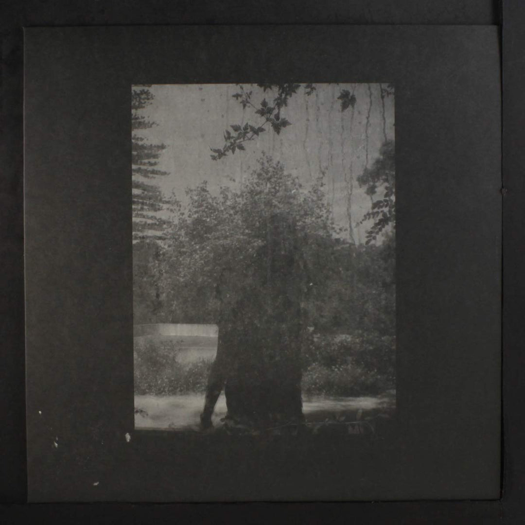 Ruins, Vinyl