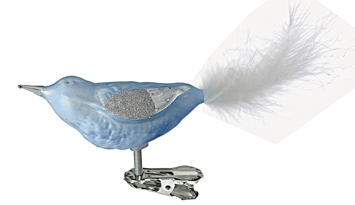 Glasvogel eisblau mit Federn