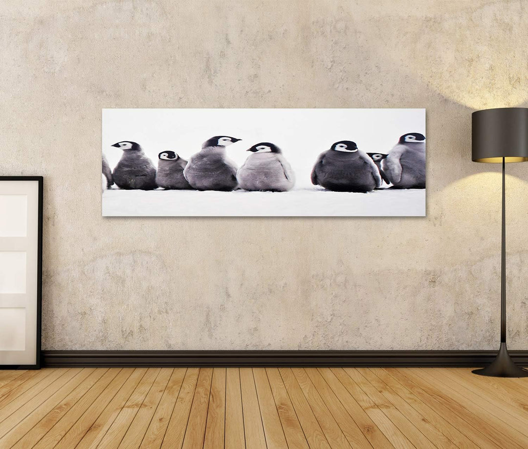 islandburner Bild auf Leinwand Junge Pinguine Baby Junge Pinguine Baby Eissonne Bilder Wandbilder Po